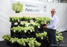 Jaap Stelder of Agriom presenting the new Hydrangea Paniculata, a compact paniculata for patio and micro gardening. The series consists of two varieties; Pandora and Panflora. Every stem produces a flower.